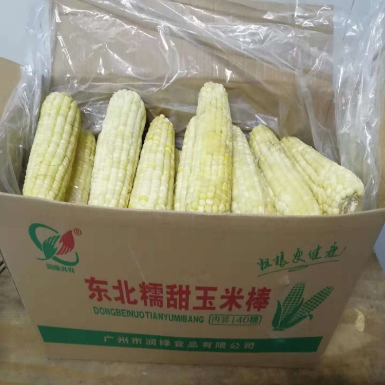 黑龙江 东北 白糯玉米棒